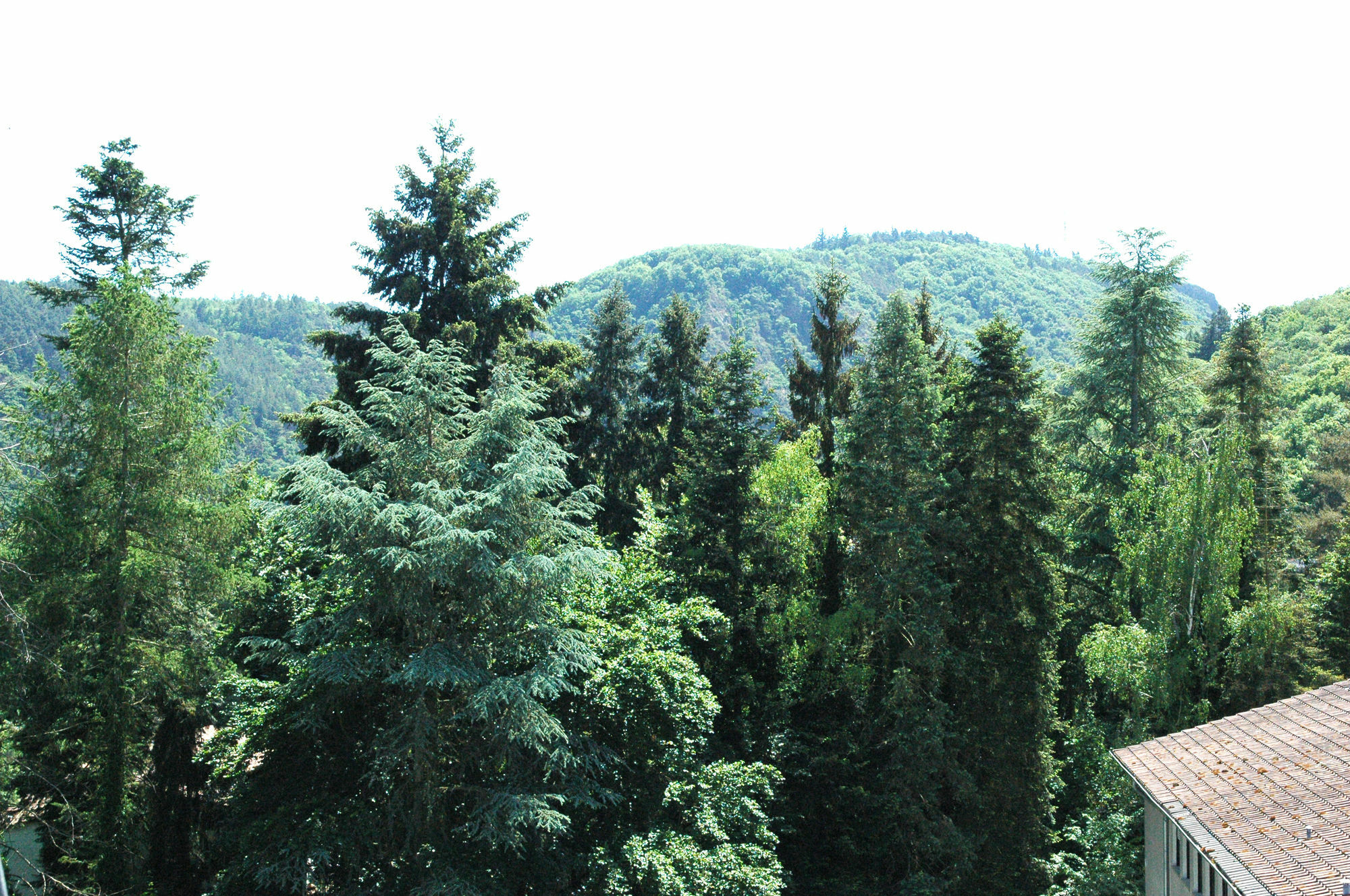 Hotel Engel Bad Kreuznach Dış mekan fotoğraf